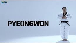 Pyongwon